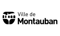 PLAINE DE JEU DE MONTAUBAN